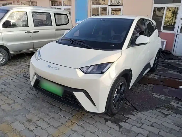 Фотография автомобиля — BYD Seagull