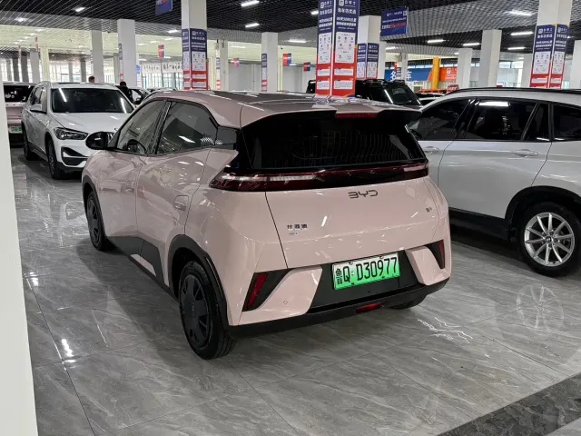 BYD Seagull — Фото автомобиля 10