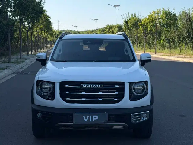 Haval Haval Big Dog 2021 1.5T DCT 2WD Border Collie - Wangcai Edition — Фото автомобиля 2