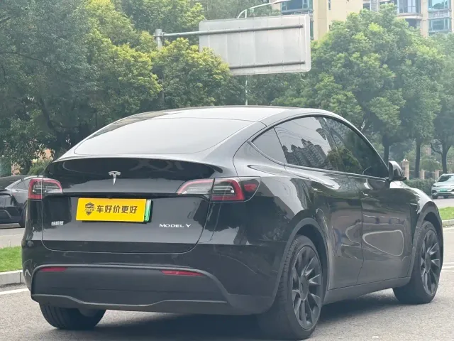 Tesla Model Y — Фото автомобиля 10