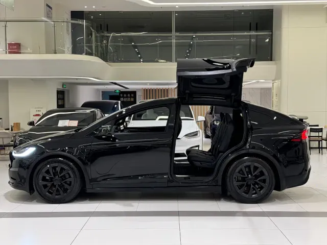 Tesla Model X — Фото автомобиля 5