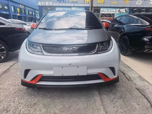 BYD Dolphin — Фото автомобиля 2