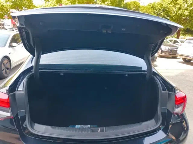 Buick Regal — Фото автомобиля 18