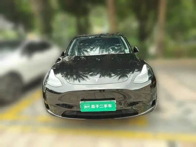 Tesla Model Y — Фото автомобиля 2