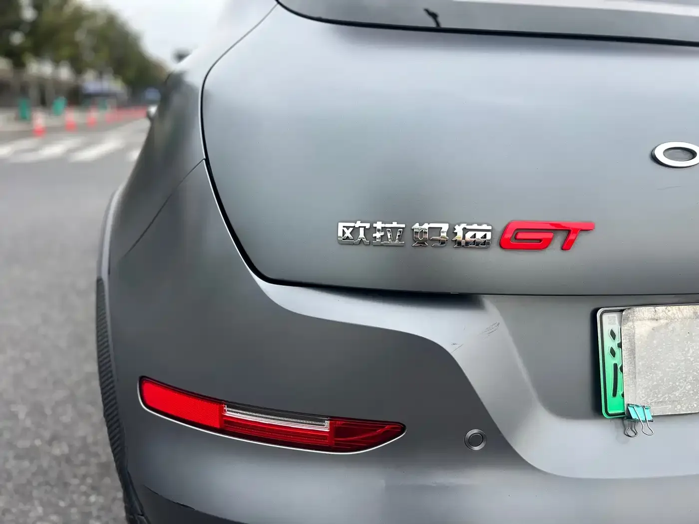 Ora Ora Good Cat GT 2023 Mulan Edition 401km Honor Model — Фото автомобиля 9