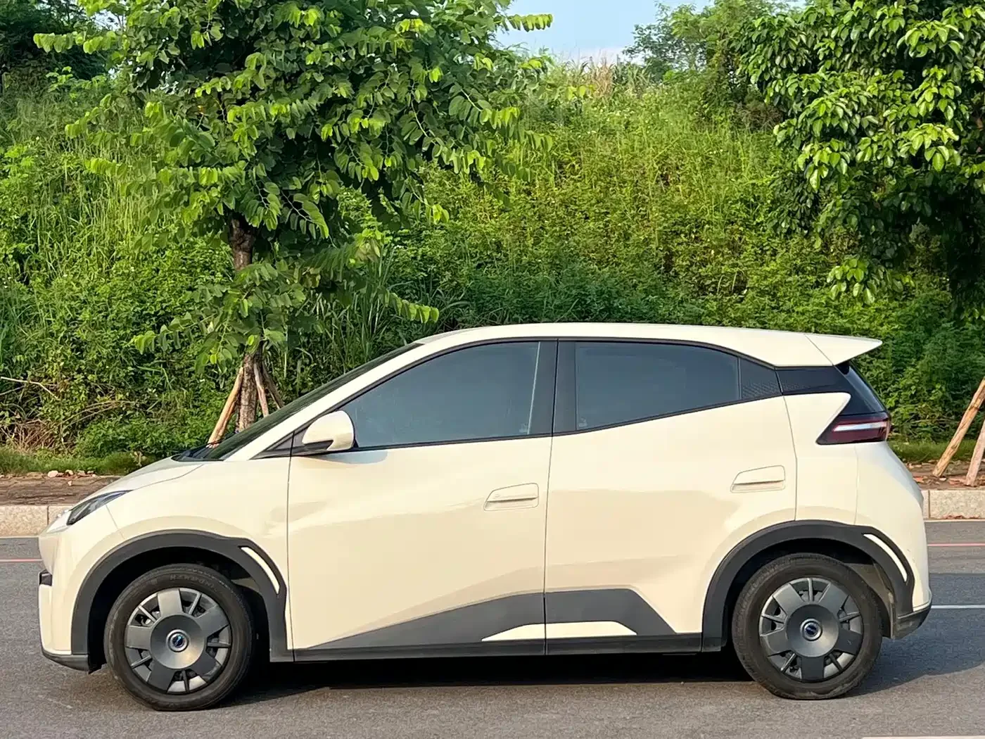 BYD Seagull 2024 Glory Edition 305km Vitality Edition — Фото автомобиля 4