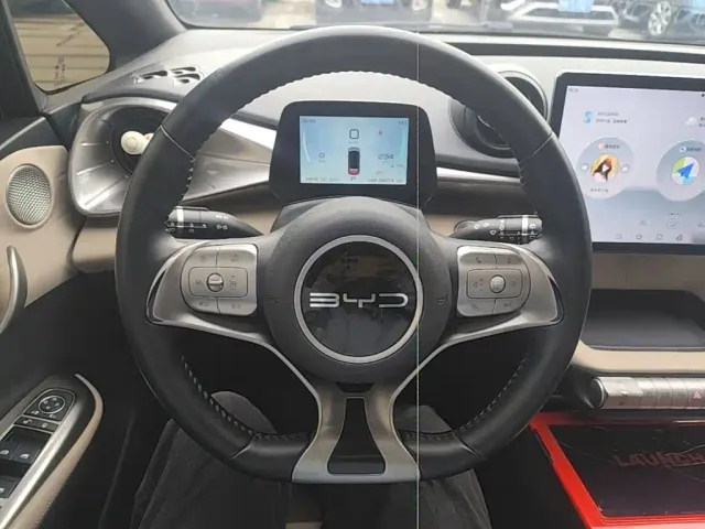 BYD Dolphin — Фото автомобиля 10