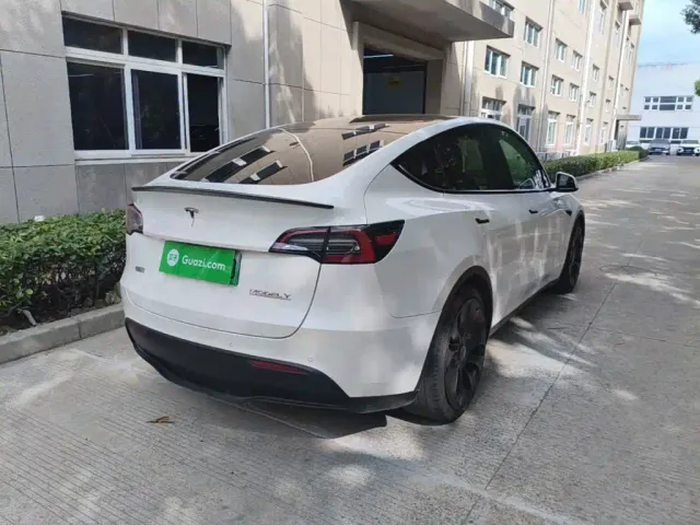 Tesla Model Y 2021 Performance High-Performance AWD — Фото автомобиля 6