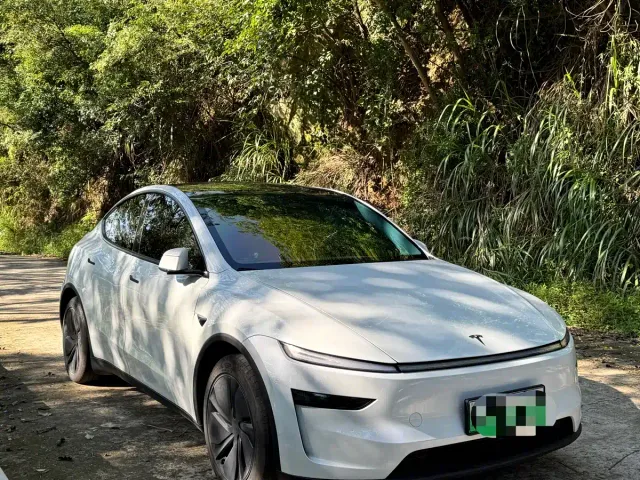 Tesla Model Y — Фото автомобиля 2