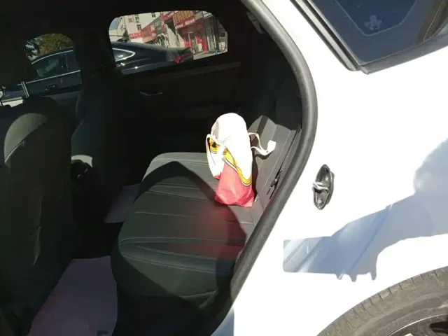 BYD Qin PLUS — Фото автомобиля 13