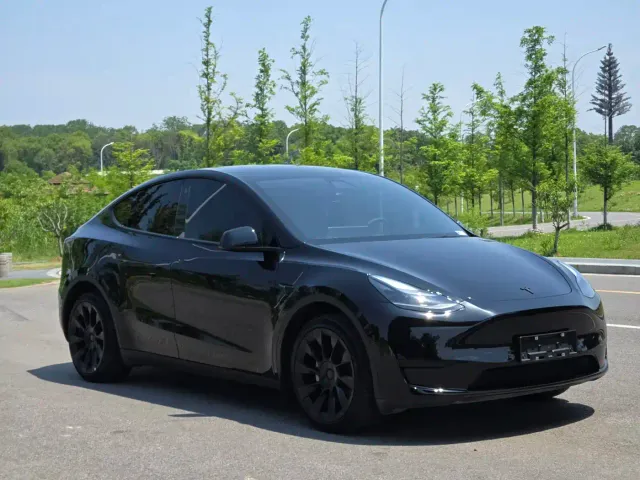 Tesla Model Y — Фото автомобиля 3