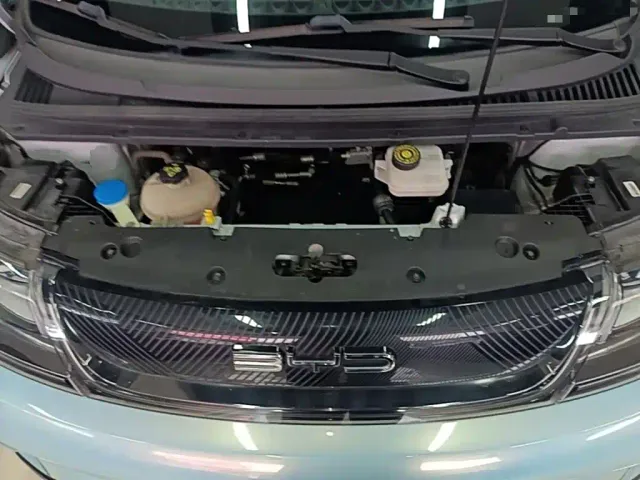 BYD Dolphin — Фото автомобиля 19