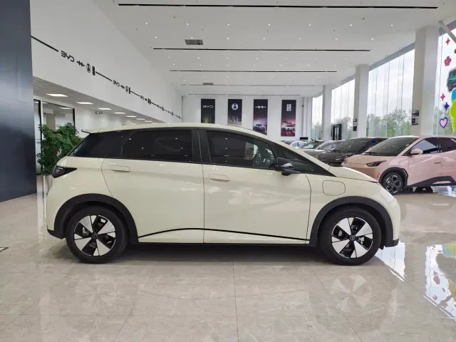 BYD Dolphin — Фото автомобиля 4