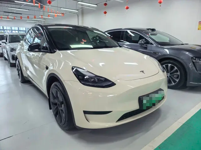 Tesla Model Y — Фото автомобиля 3