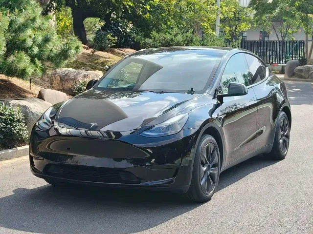 Tesla Model Y — Фото автомобиля 3