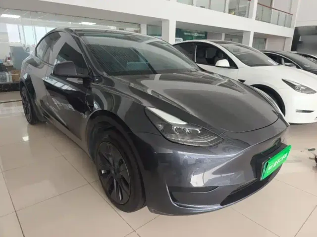Tesla Model Y — Фото автомобиля 21