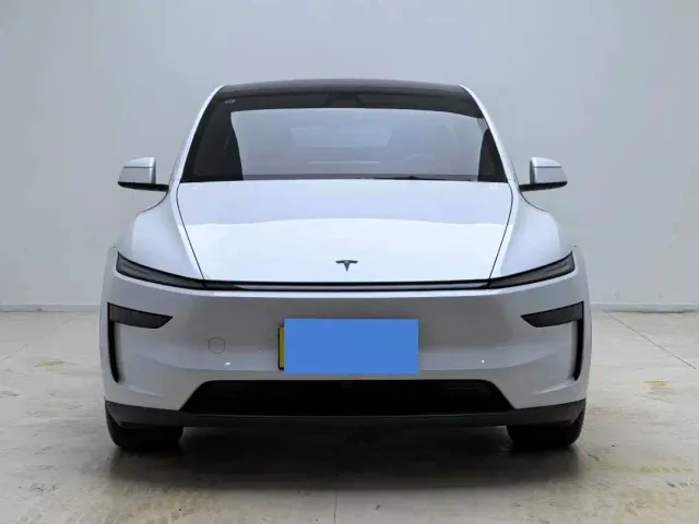 Tesla Model Y — Фото автомобиля 2