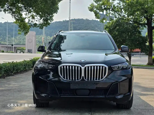 BMW X5 — Фото автомобиля 9