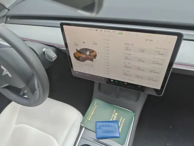 Tesla Model Y 2024 Rear-Wheel Drive Version — Фото автомобиля 12