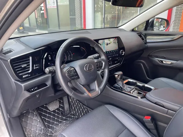Lexus NX — Фото автомобиля 19