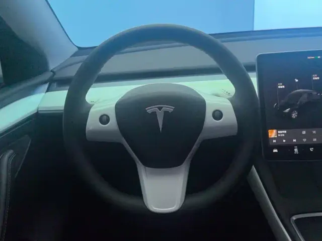 Tesla Model Y — Фото автомобиля 15