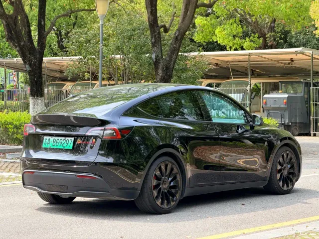 Tesla Model Y — Фото автомобиля 8