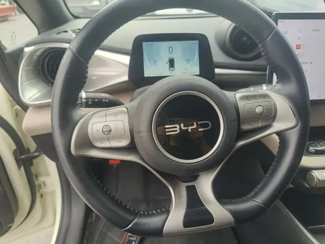 BYD Dolphin — Фото автомобиля 10