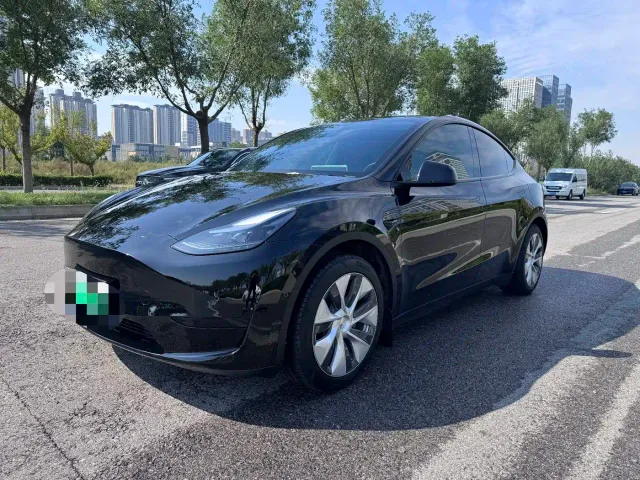 Tesla Model Y — Фото автомобиля 3