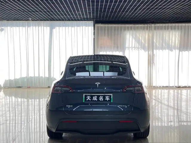 Tesla Model Y — Фото автомобиля 5