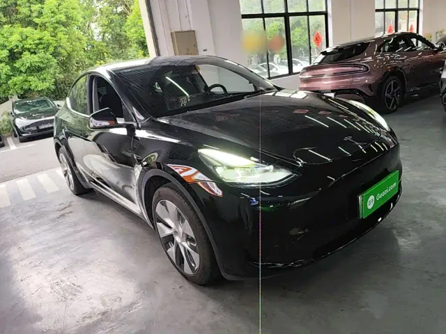 Tesla Model Y — Фото автомобиля 3