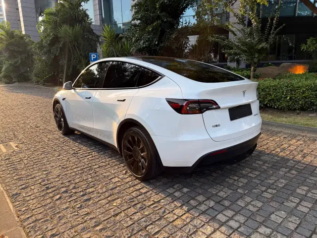 Tesla Model Y — Фото автомобиля 12
