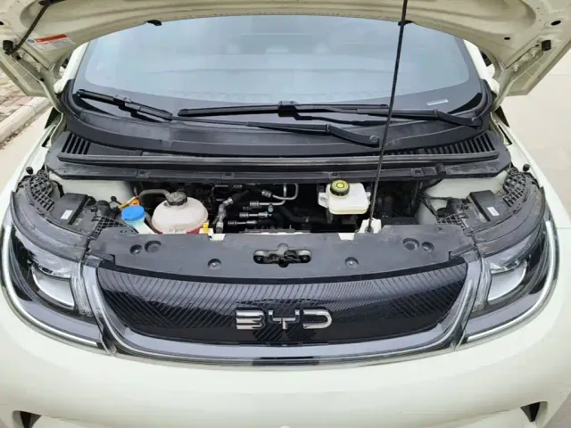 BYD Dolphin — Фото автомобиля 19