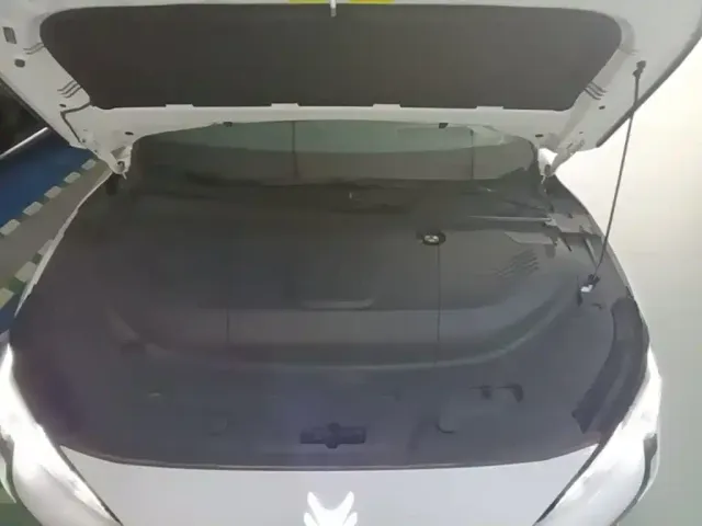 ARCFOX Arcfox Alpha S5 2024 560MAX 185kW — Фото автомобиля 19