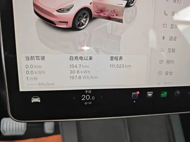 Tesla Model Y — Фото автомобиля 11