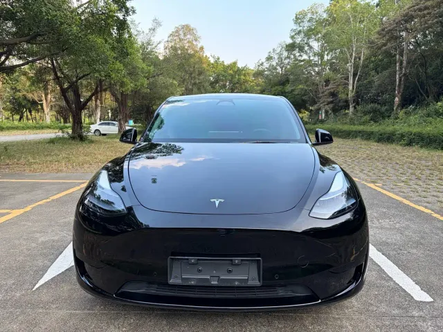 Tesla Model Y — Фото автомобиля 2