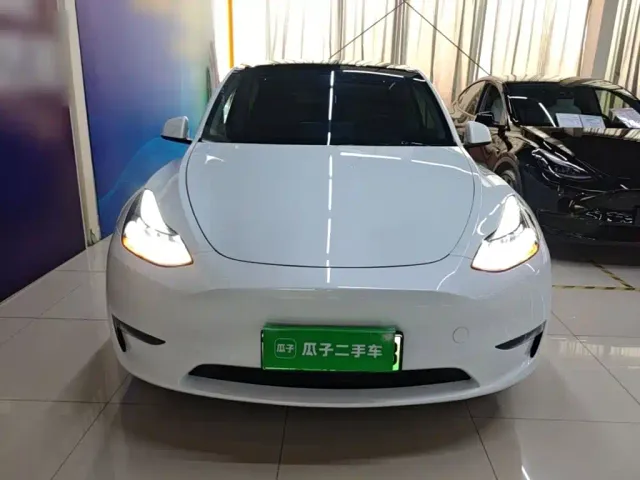Tesla Model Y — Фото автомобиля 2