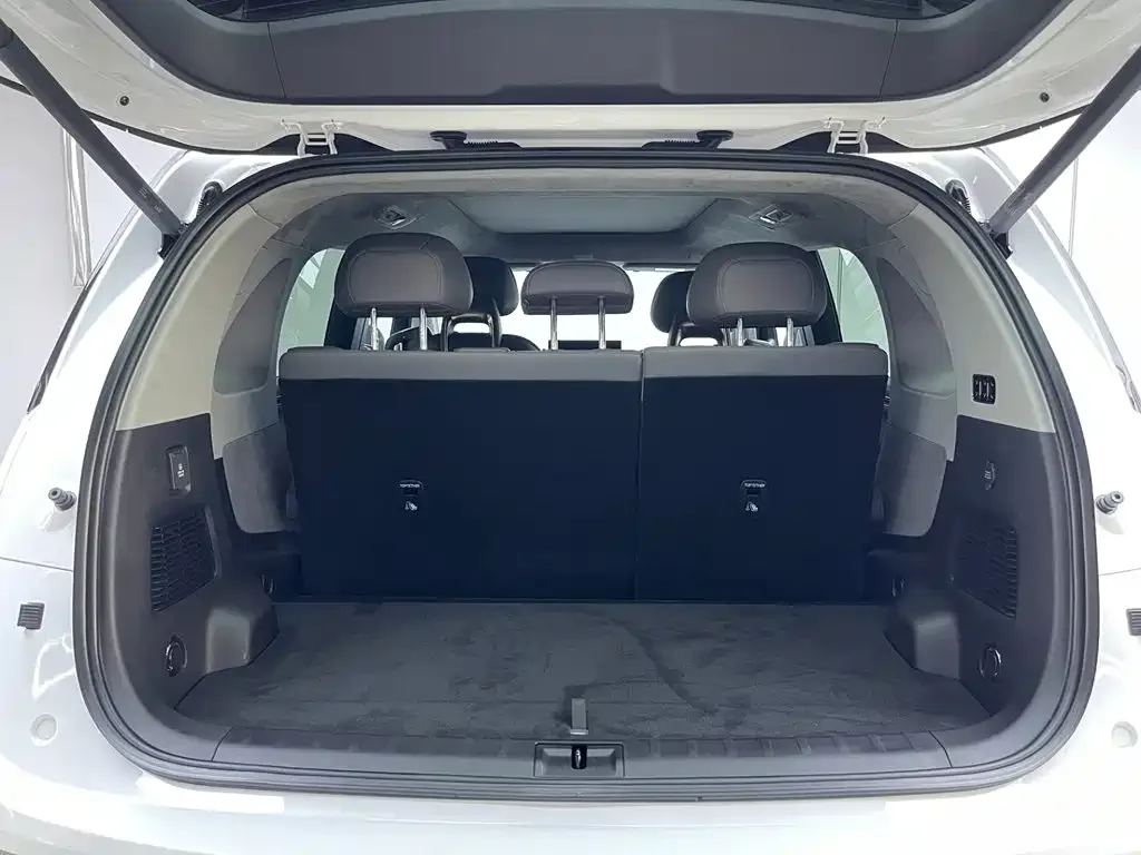 ZEEKR Zeekr MIX 2025 Long Range Intelligent Driving Edition — Фото автомобиля 10
