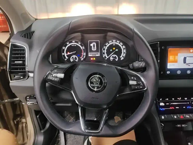 Skoda Karoq — Фото автомобиля 10
