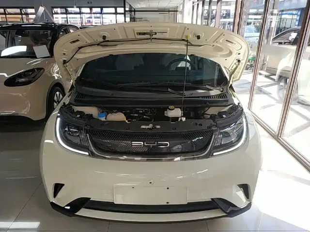 BYD Dolphin — Фото автомобиля 19