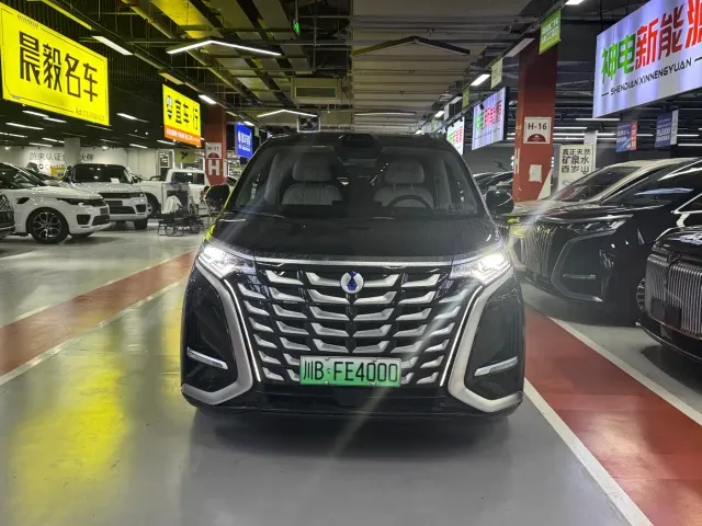 Denza D9 — Фото автомобиля 2