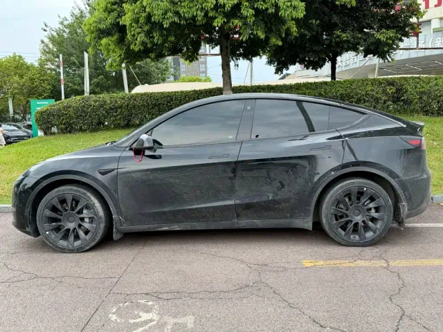 Tesla Model Y — Фото автомобиля 3