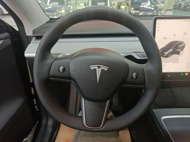 Tesla Model Y — Фото автомобиля 10