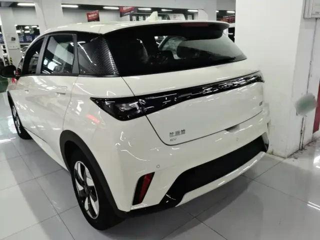 BYD Dolphin — Фото автомобиля 4