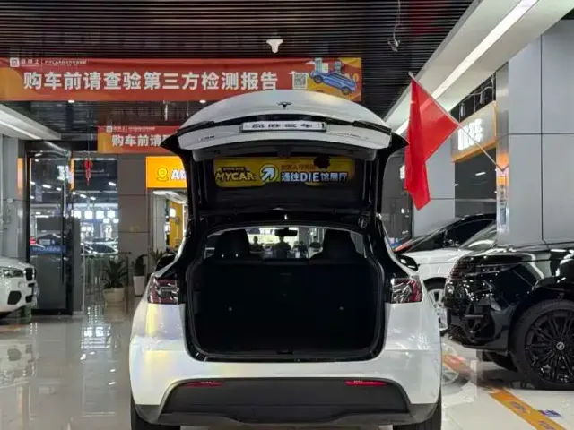 Tesla Model Y — Фото автомобиля 6