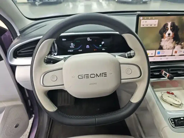 Geely Starry Wish — Фото автомобиля 6