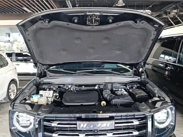 Haval Big Dog — Фото автомобиля 19