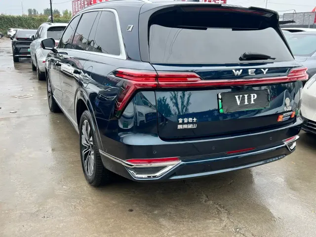 Wey Lanshan — Фото автомобиля 7