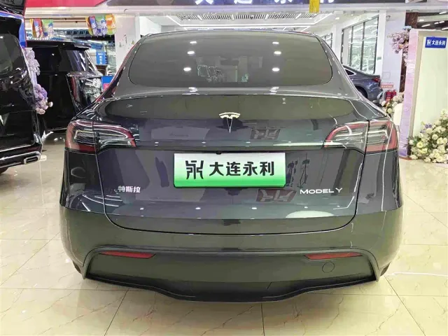 Tesla Model Y — Фото автомобиля 15