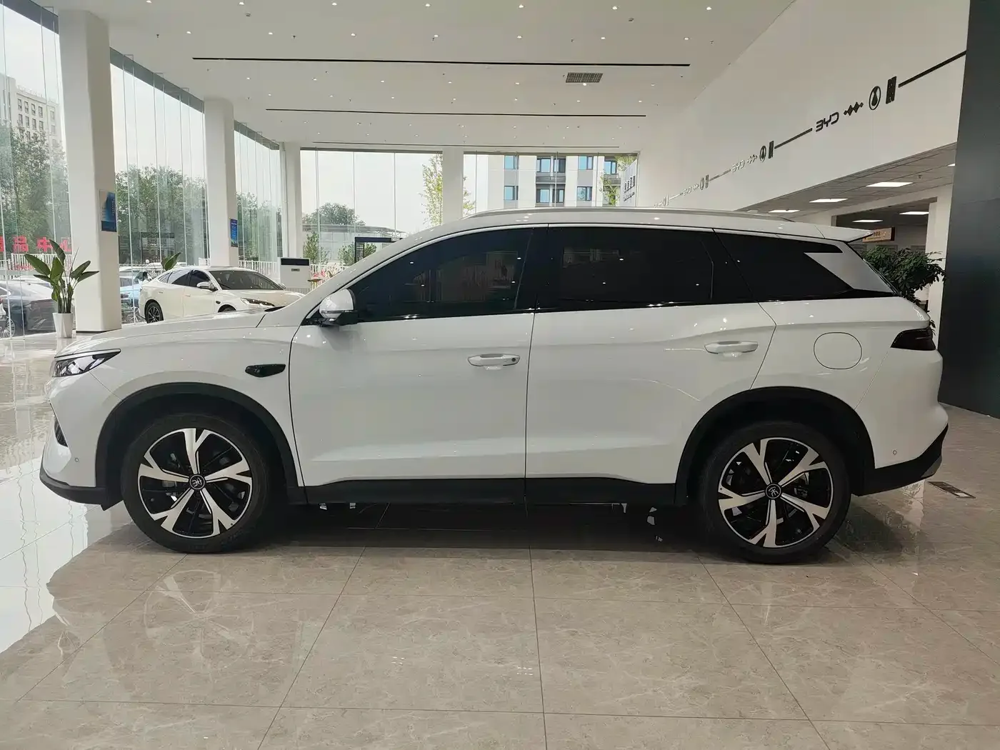 BYD Song Pro New Energy 2025 2nd Generation Smart Driving Edition DM-i 115KM Excellence Type — Фото автомобиля 8