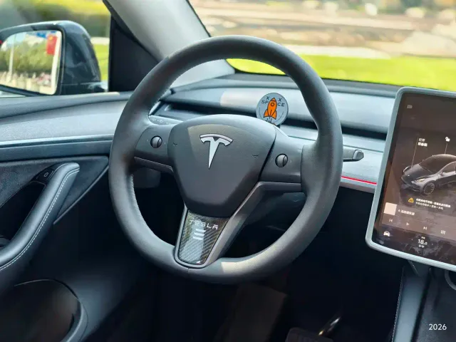 Tesla Model Y — Фото автомобиля 9